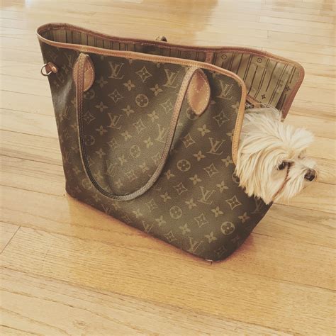 fake louis vuitton dog bags|louis vuitton dog lead.